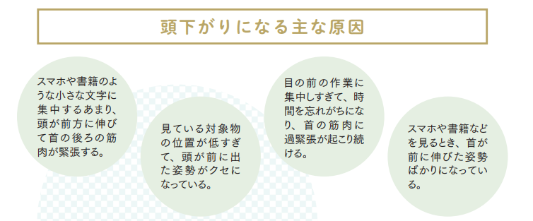 頭下がりになる主な要因【プロトレーナーが本気で教える 完全体幹教本】