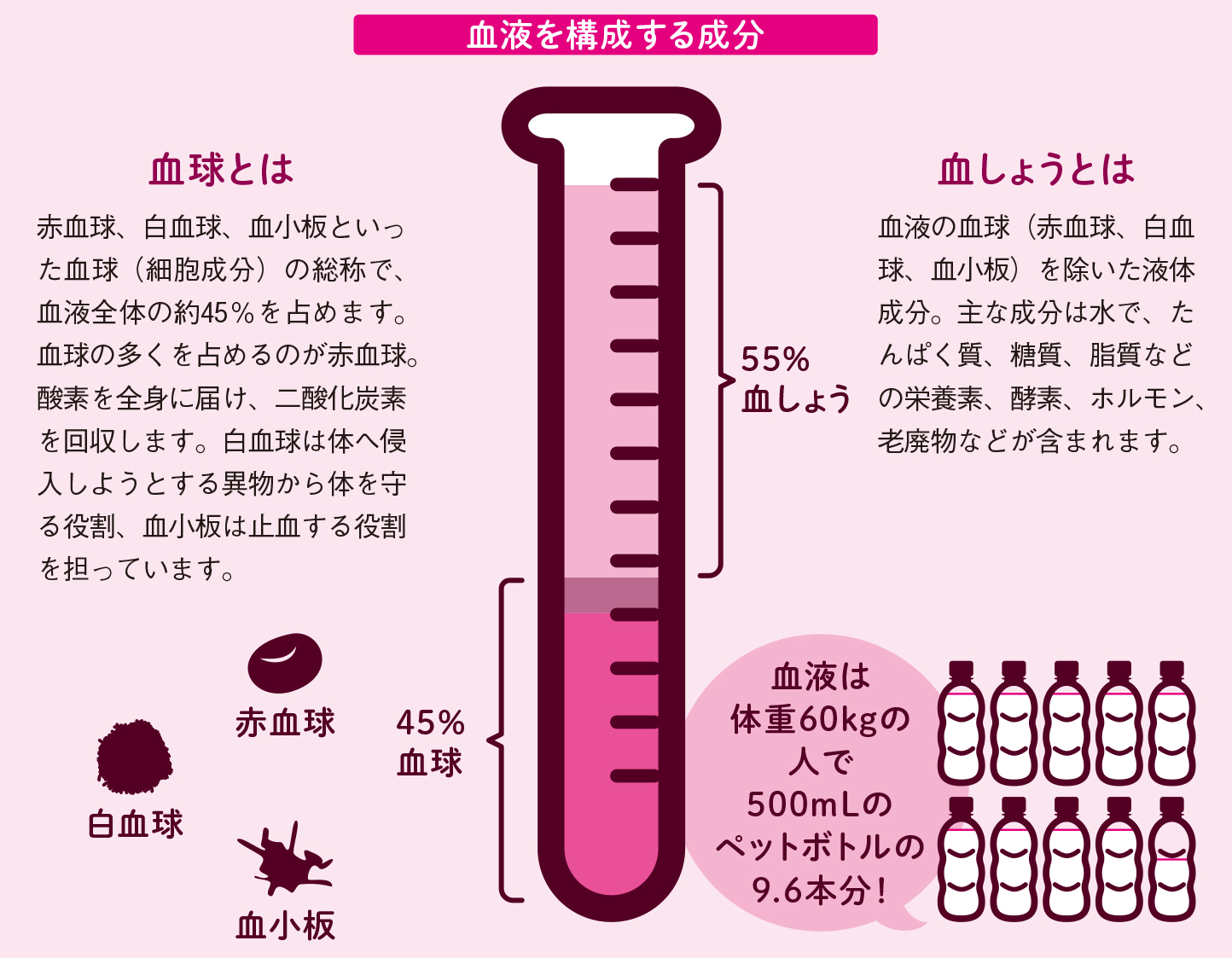 ３つの血球と血しょうからなる血液【図解 血管・血液の話】