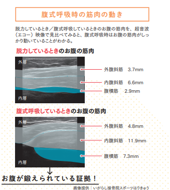 腹式呼吸時の筋肉の動き【プロトレーナーが本気で教える 完全体幹教本】