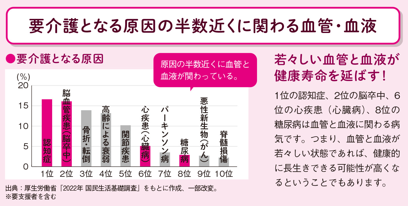 健康寿命を延ばすのは血管と血液【図解 血管・血液の話】