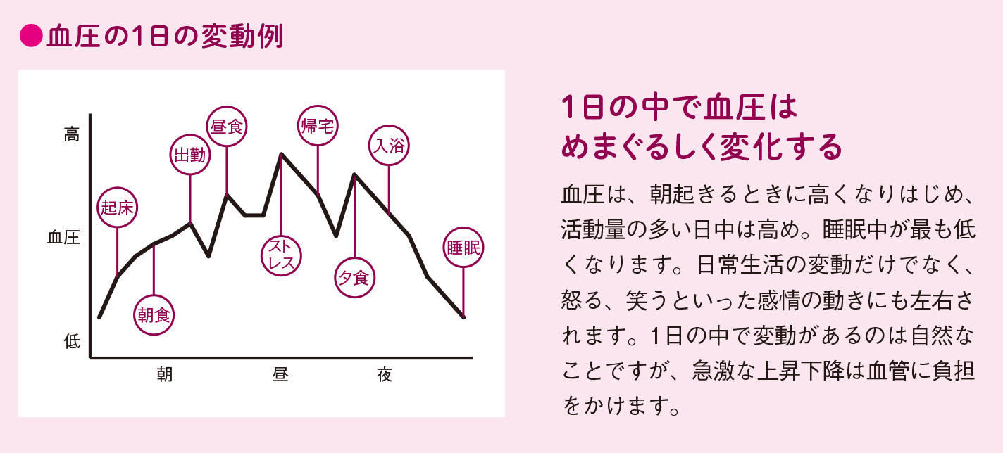 血管への強い圧力で老化は進む【図解 血管・血液の話】