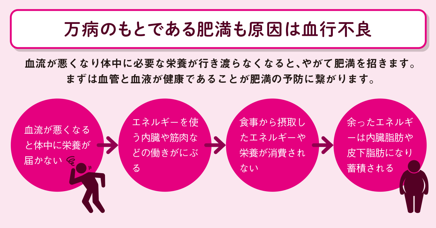 肌がくすんで太りやすくなる【図解 血管・血液の話】