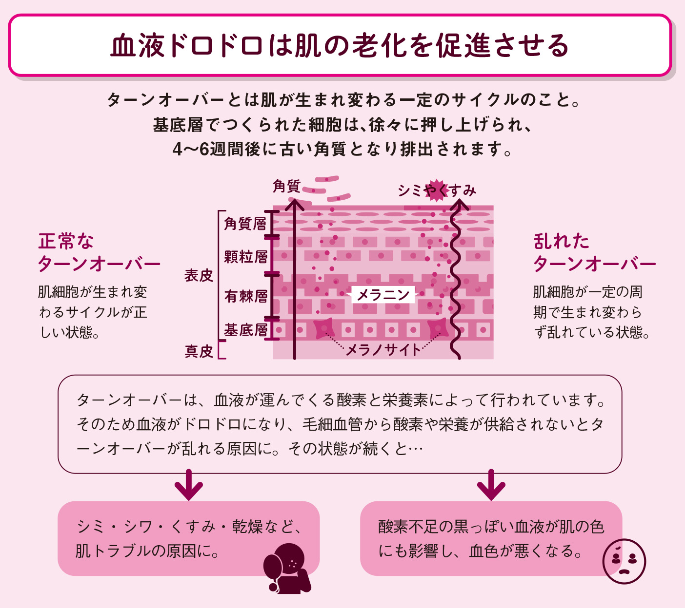 血管と血液の老化は 見た目を老けさせ肥満を招く【図解 血管・血液の話】