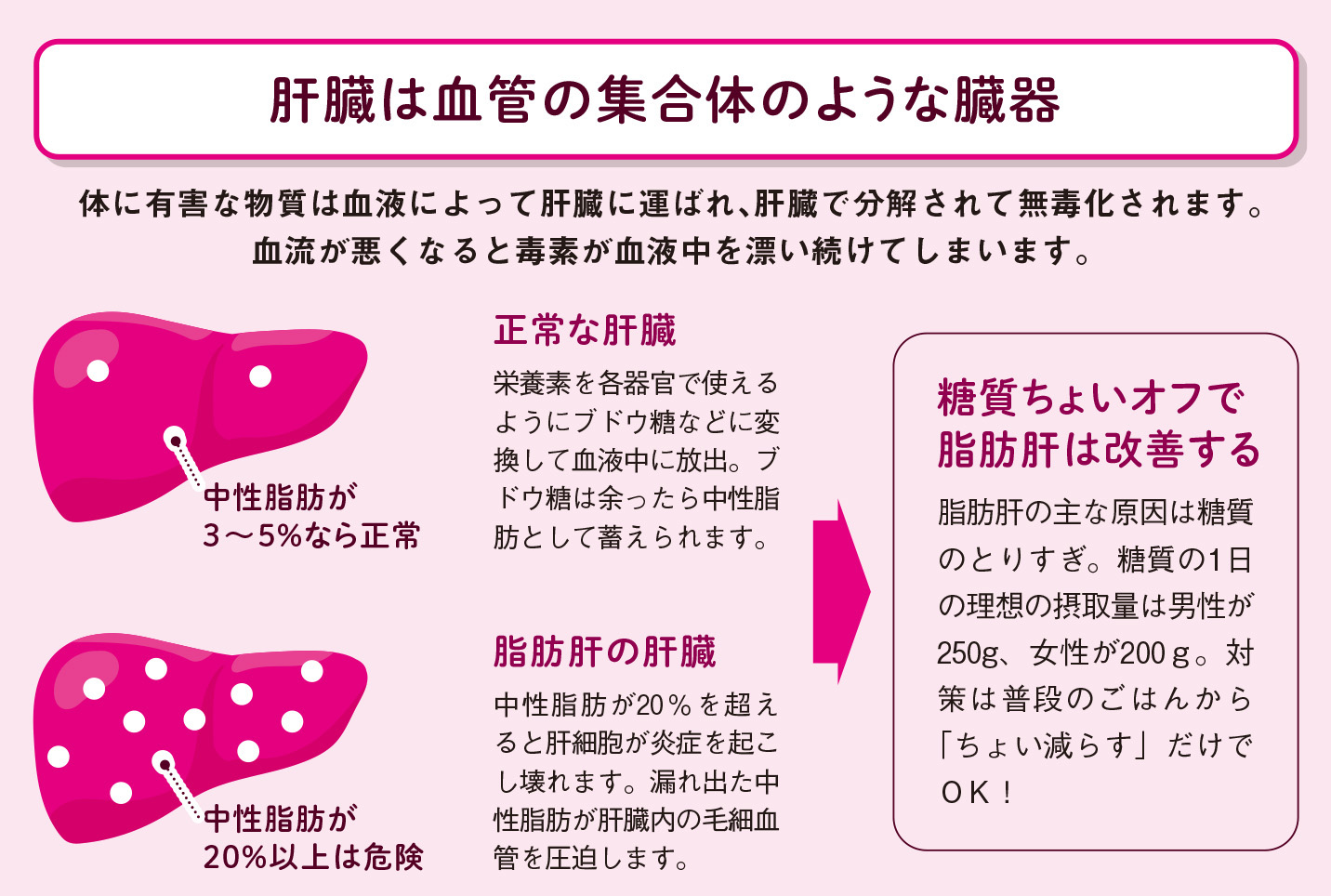 肝機能が悪くなると血液は汚れてしまう【図解 血管・血液の話】