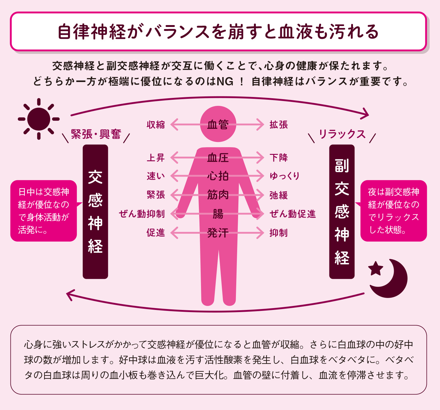 肝機能が悪くなると血液は汚れてしまう【図解 血管・血液の話】