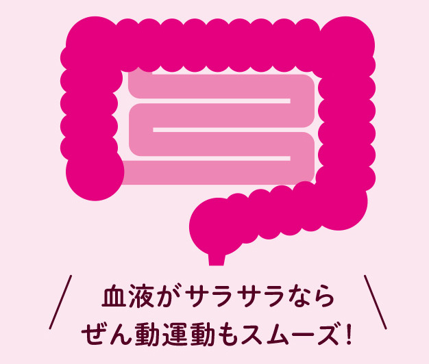 血流の悪化が便秘を招く【図解 血管・血液の話】