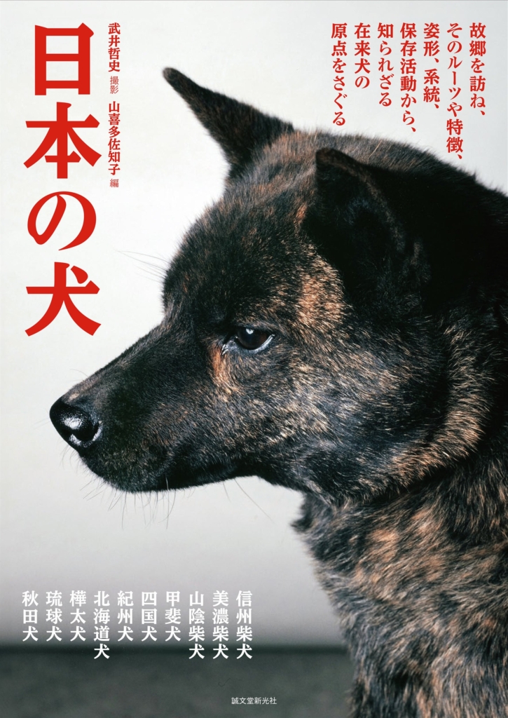 柴犬、北海道犬、秋田犬、甲斐犬、四国犬、紀州犬、琉球犬…日本原産の犬種の各々の産地を訪ね、本来の姿や名犬などを掲載した決定版｜ニフティニュース