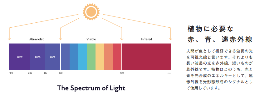 植物に必要な赤、青、遠赤外線【LED LIGHT 室内栽培基本BOOK】