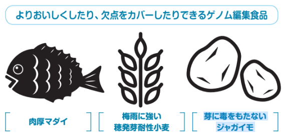 よりおいしくしたり、欠点をカバーしたりできるゲノム編集食品【眠れなくなるほど面白い 図解 生命科学の話】