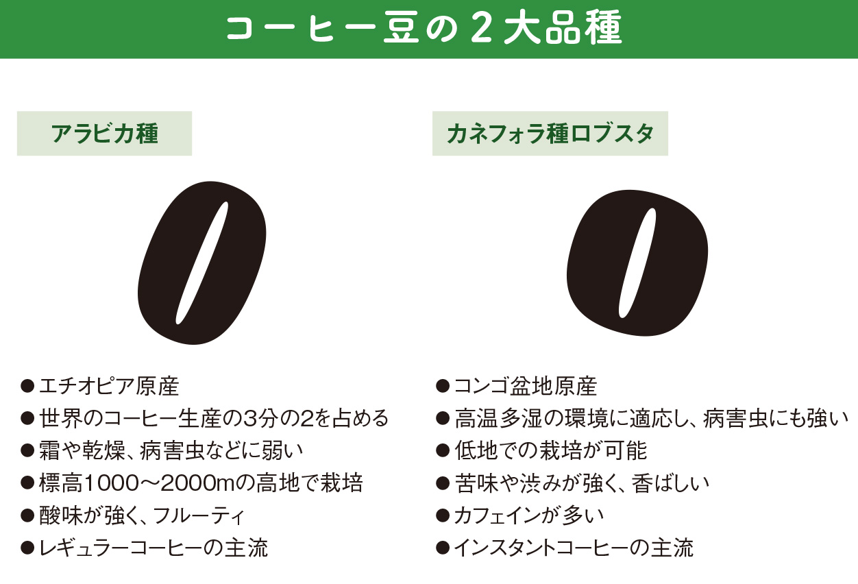 日本人が発明したインスタントコーヒーによって一気に儲けた国がある【図解 地理と経済の話】