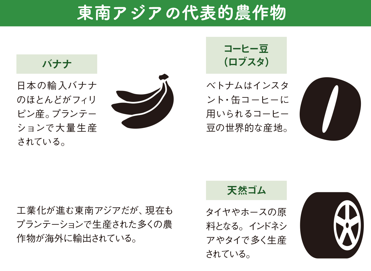 東南アジアが成長著しいのはなぜ？/農作物の輸出から工業化へ【図解 地理と経済の話】