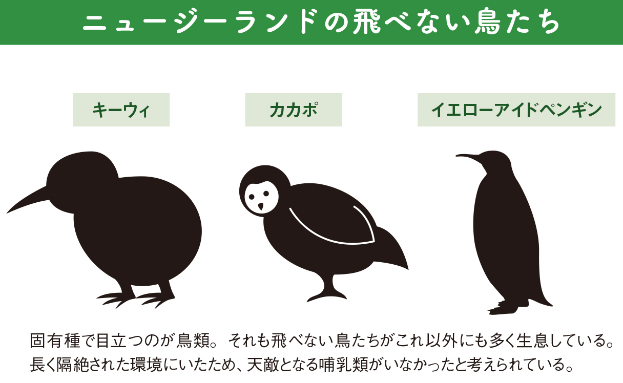 ニュージーランドはあえて開拓しないことで経済を回している/ありのままの自然を堪能する【図解 地理と経済の話】