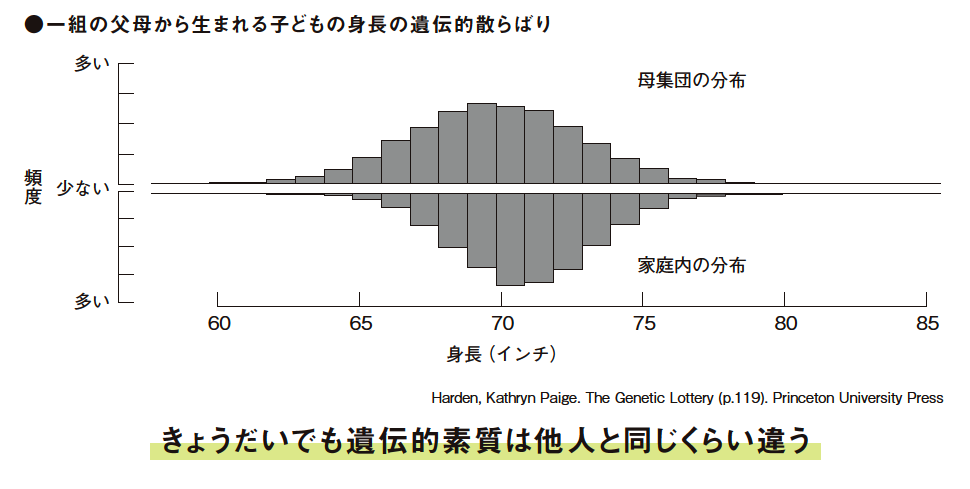 きょうだいでも遺伝的素質は他人と同じくらい違う