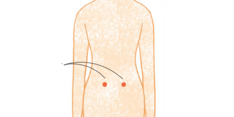 症状と漢方処方　腰痛【生薬と漢方薬の事典】