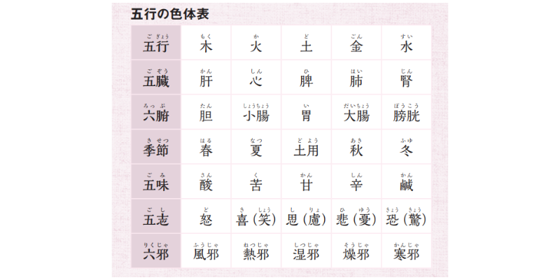 五臓と六腑 五臓とは ①【生薬と漢方薬の事典】