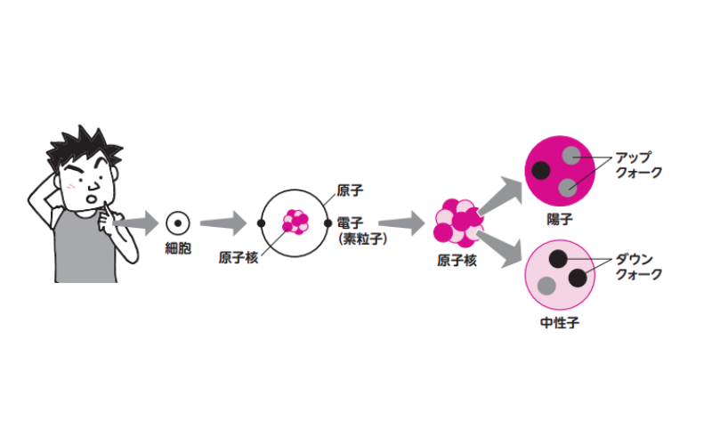 原子内の電子は基本の粒子