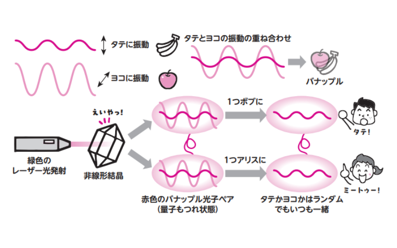 実際の実験で「量子もつれ状態」を見る