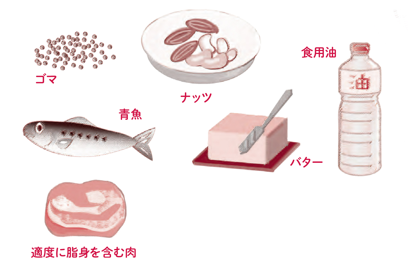 シニアは敵視しないで！脂質/脂質が多く含まれている食材を活用しよう！【70歳からおいしく栄養がとれる食事のくふう】