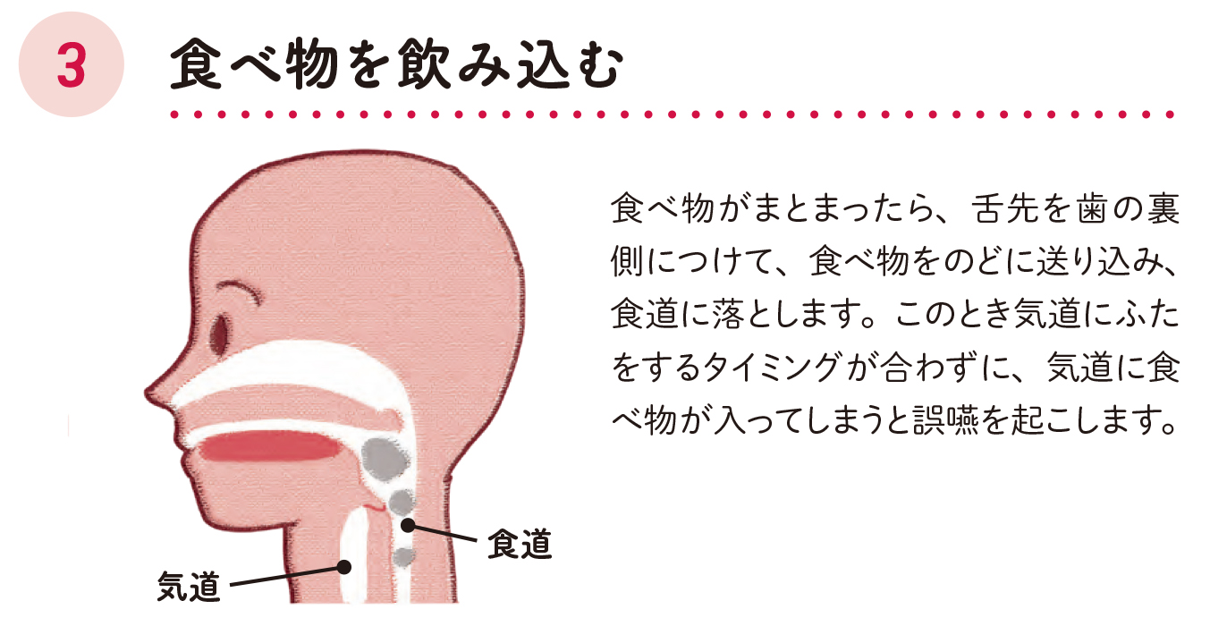 「かむ」「飲み込む」が難しくなったら/飲み込むまでの3段階を知ろう3【70歳からおいしく栄養がとれる食事のくふう】