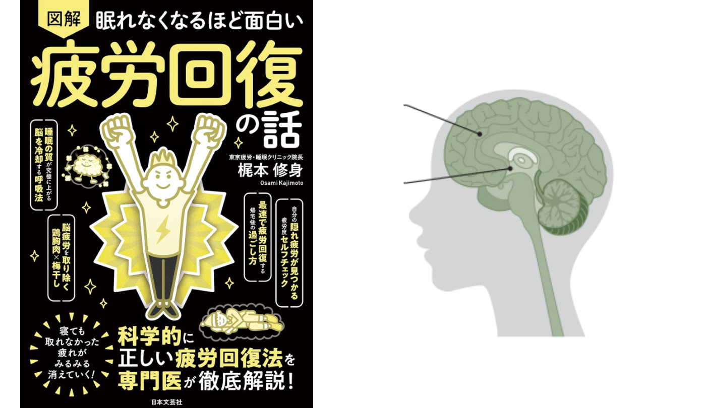 脳にとって最高の休息は良質な睡眠【眠れなくなるほど面白い 図解 疲労回復の話】