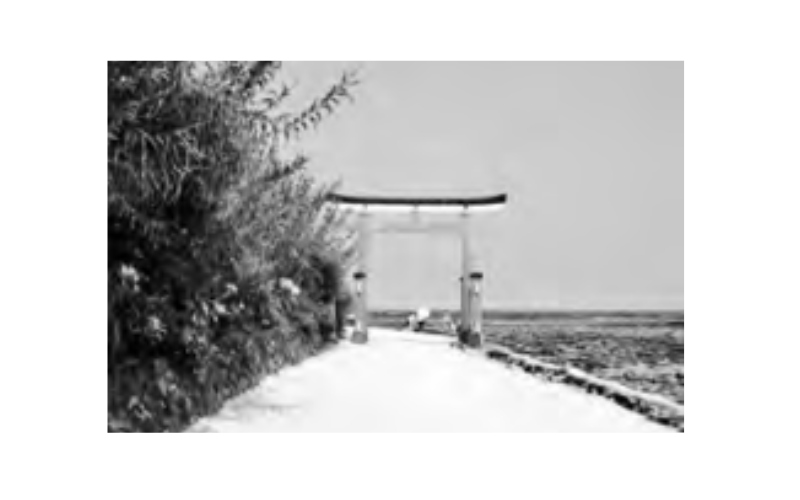 青島神社の鳥居