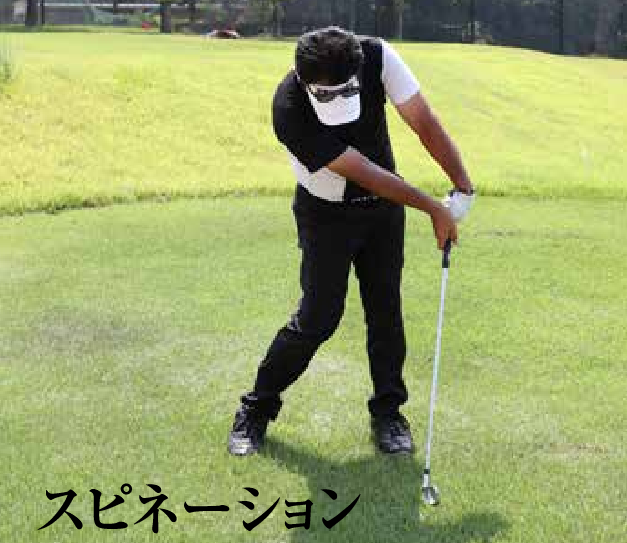 スピネーション