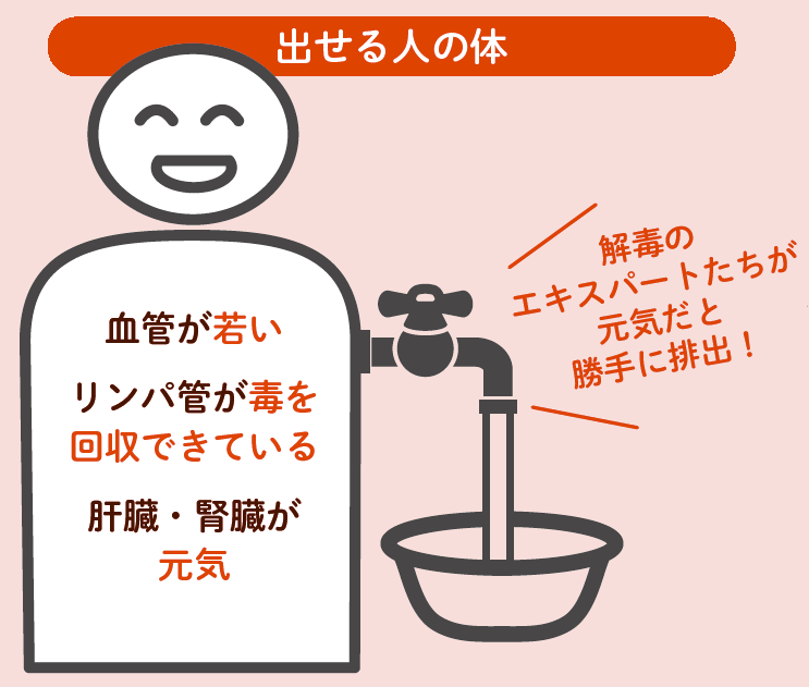 解毒のエキスパートたちが元気だと勝手に排出！