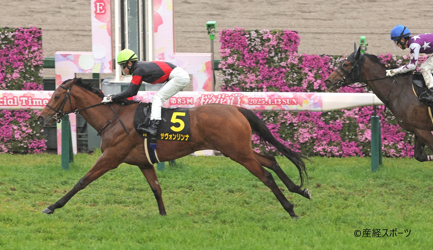【競馬阪神】9R 忘れな草賞 1着5番・サヴォンリンナ=阪神競馬場(撮影・根本成)
