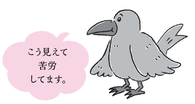 カラス「こう見えて苦労してます。」