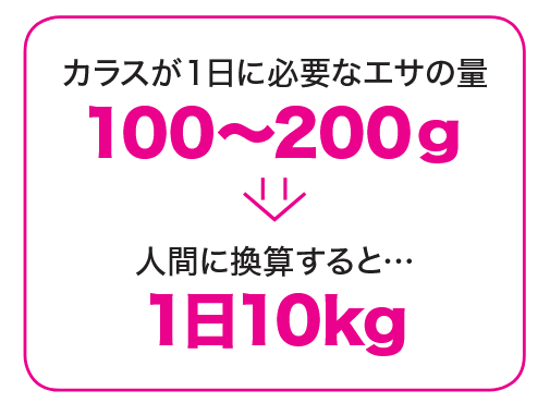 カラスが１日に必要なエサの量100～200g → 人間に換算すると…1日10kg