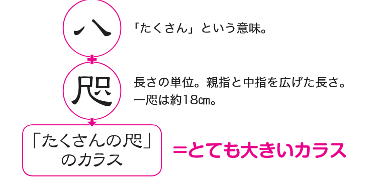 八　「たくさんという意味
咫　長さの単位。親指と中指を広げた長さ。一咫は約18㎝。
「たくさんの咫」のカラス＝とても大きいカラス
