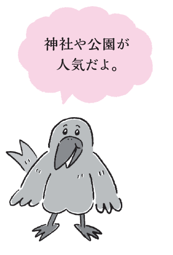 カラス「神社や公園が人気だよ」