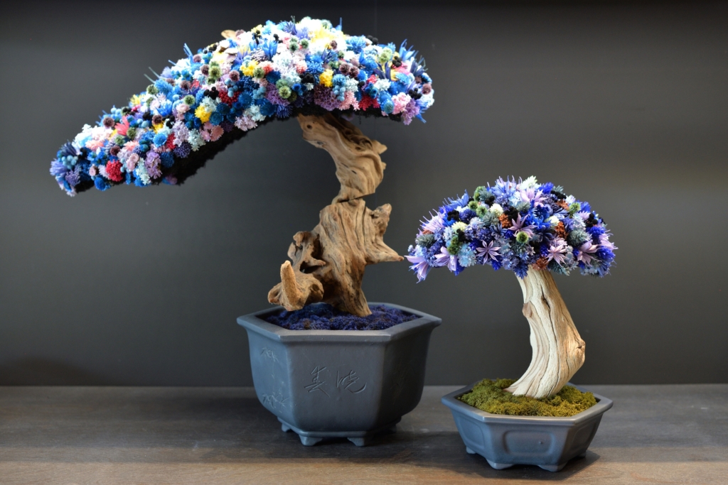 色鮮やかなドライフラワーが織りなす一点物の盆栽アート『HANA BONSAI