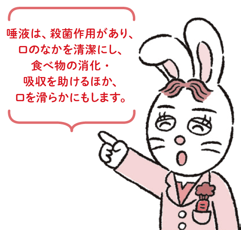 唾液は、殺菌作用があり、口のなかを清潔にし、食べ物の消化・吸収を助けるほか、口を滑らかにもします。