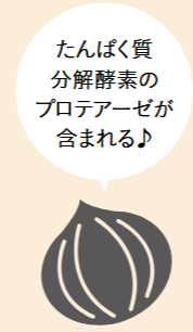 たんぱく質分解酵素のプロテアーゼが含まれる♪