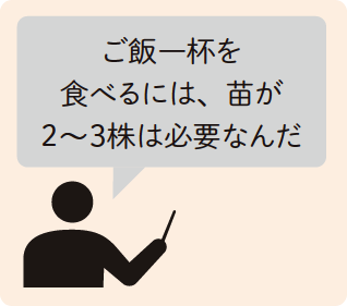 ご飯一杯を食べるには、苗が２〜３株は必要なんだ