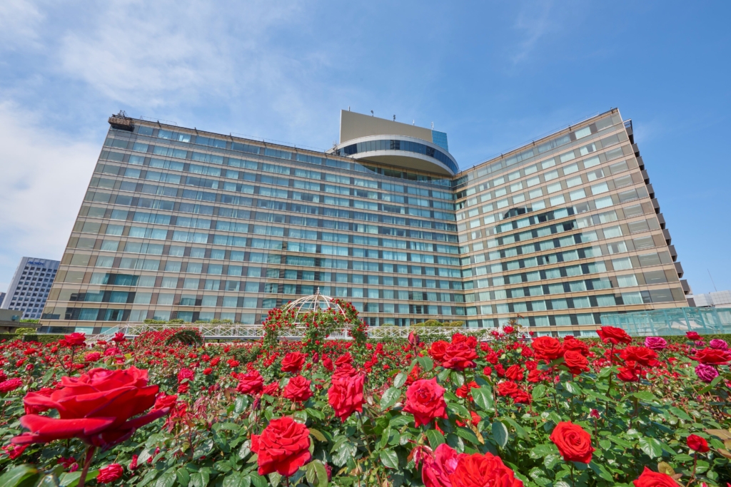 1か月限定】3万輪の赤薔薇に囲まれる！ホテルニューオータニの屋上庭園