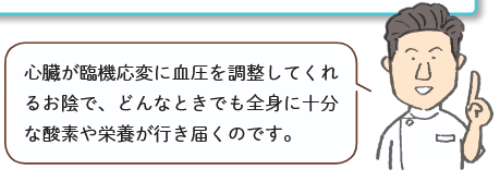 心臓が臨機応変に血圧を調整してくれるお陰で、どんなときでも全身に十分な酸素や栄養が行き届くのです。
