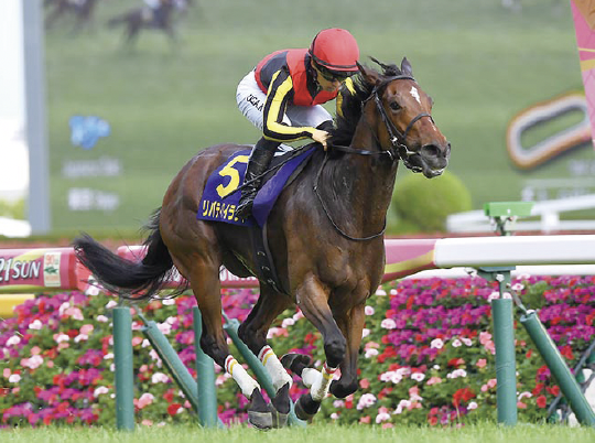 桜花賞は４角16番手から豪快な追い込みを決めた2023年リバティアイランド