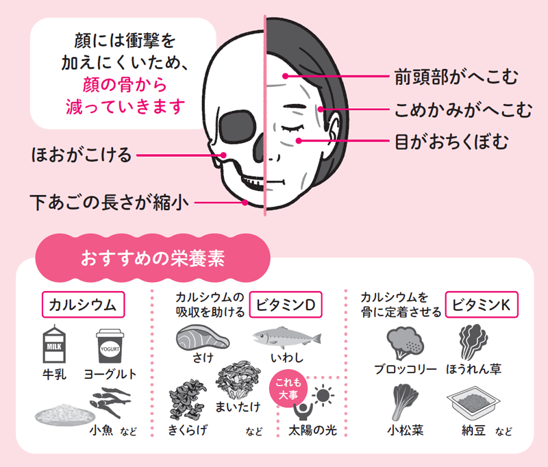 顔には衝撃を加えにくいため、顔の骨から減っていきます。
前頭部がへこむ/こめかみがへこむ/目がおちくぼむ/ほおがこける/下あごの長さが縮小