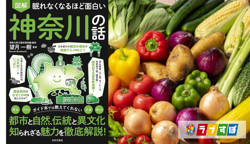 【鎌倉野菜】なぜ鎌倉の野菜は味が濃いのか?潮風と豊かな土壌がもたらした美味しさの秘密