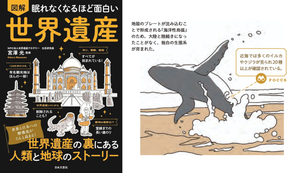 なぜ小笠原には固有種がこんなに多い？一度も陸続きにならなかった島の秘密【眠れなくなるほど面白い 図解 世界遺産】