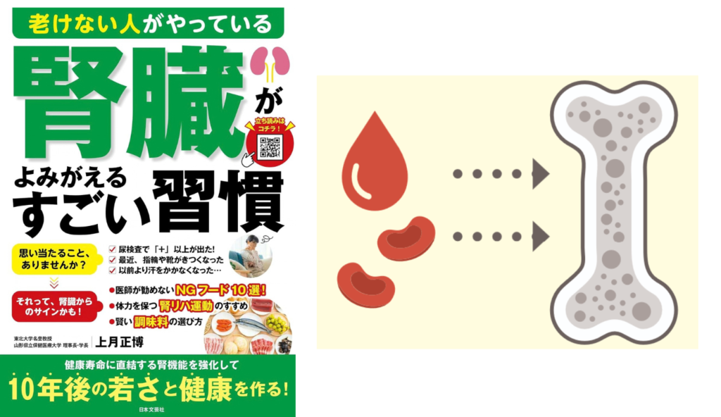 むくみや血圧の上昇は腎臓のSOS！腎臓の機能低下が及ぼす健康リスク【老けない人がやっている腎臓がよみがえるすごい習慣】