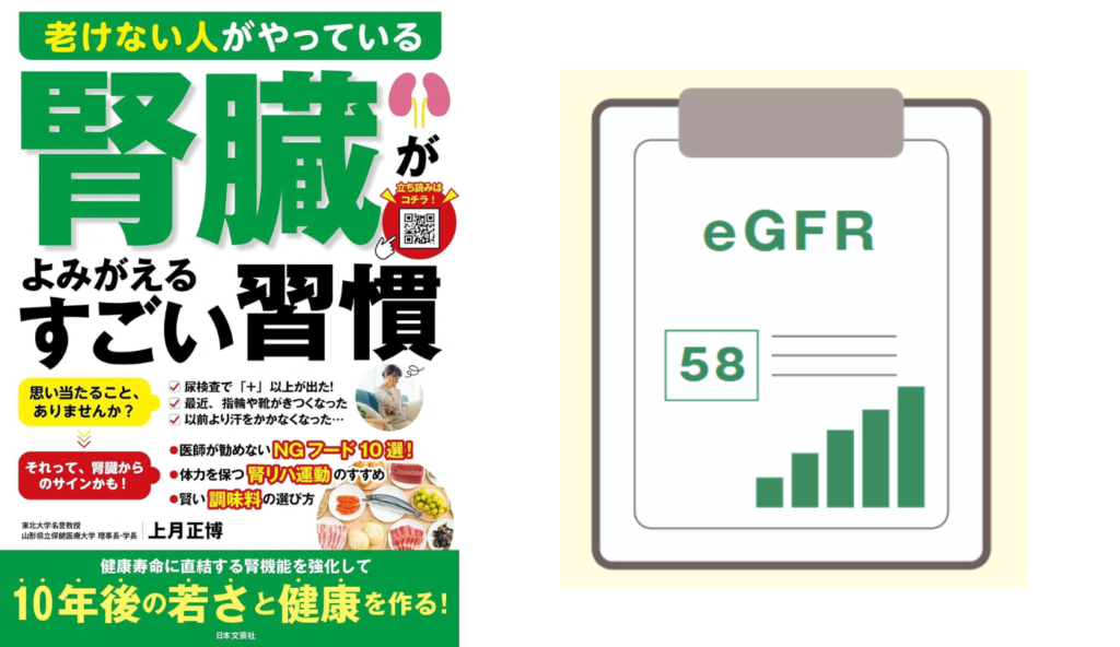 腎臓が血液をろ過する力を数値化！健診結果で見逃せないeGFRと血清クレアチニンの基礎知識【老けない人がやっている腎臓がよみがえるすごい習慣】