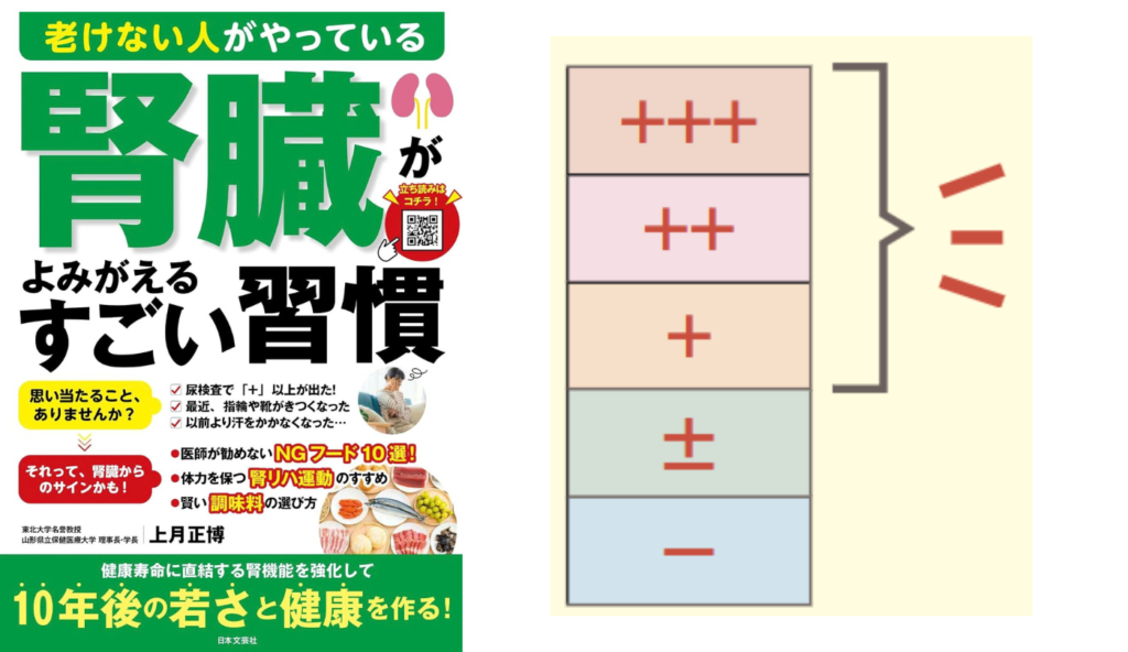 尿検査で「＋」以上は注意！健診結果で見逃せない腎臓の危険サイン【老けない人がやっている腎臓がよみがえるすごい習慣】
