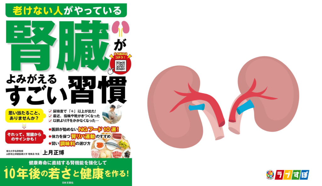 心筋梗塞や脳卒中のリスクを高める？慢性腎臓病が心臓や血管に与える悪影響【老けない人がやっている腎臓がよみがえるすごい習慣】