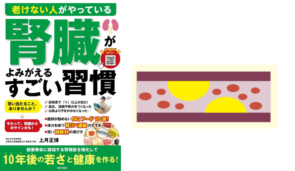 高尿酸血症や高血圧も引き起こす！食べすぎ・飲みすぎが招く腎臓へのダメージ【老けない人がやっている腎臓がよみがえるすごい習慣】