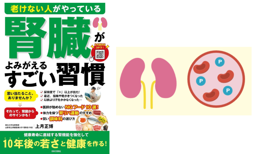腎臓に必要な栄養素なのに要注意!? 腎機能低下で気をつけたい「リン」とは【老けない人がやっている腎臓がよみがえるすごい習慣】