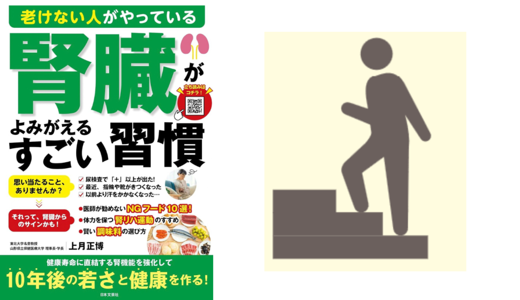 今日から見直せる!メタボを遠ざけて腎臓を守る4つの習慣【老けない人がやっている腎臓がよみがえるすごい習慣】