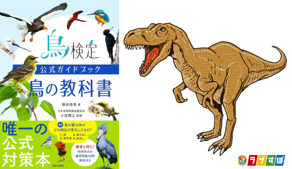 ティラノサウルスも鳥に近い仲間!骨格や分子生物学が明かす恐竜と鳥類の共通点【鳥の教科書】